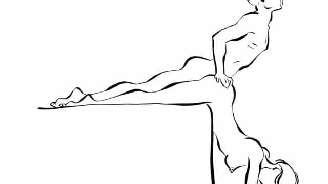 The Y-Curve